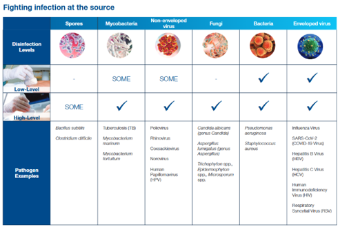 A table with a list of bacteria

AI-generated content may be incorrect.